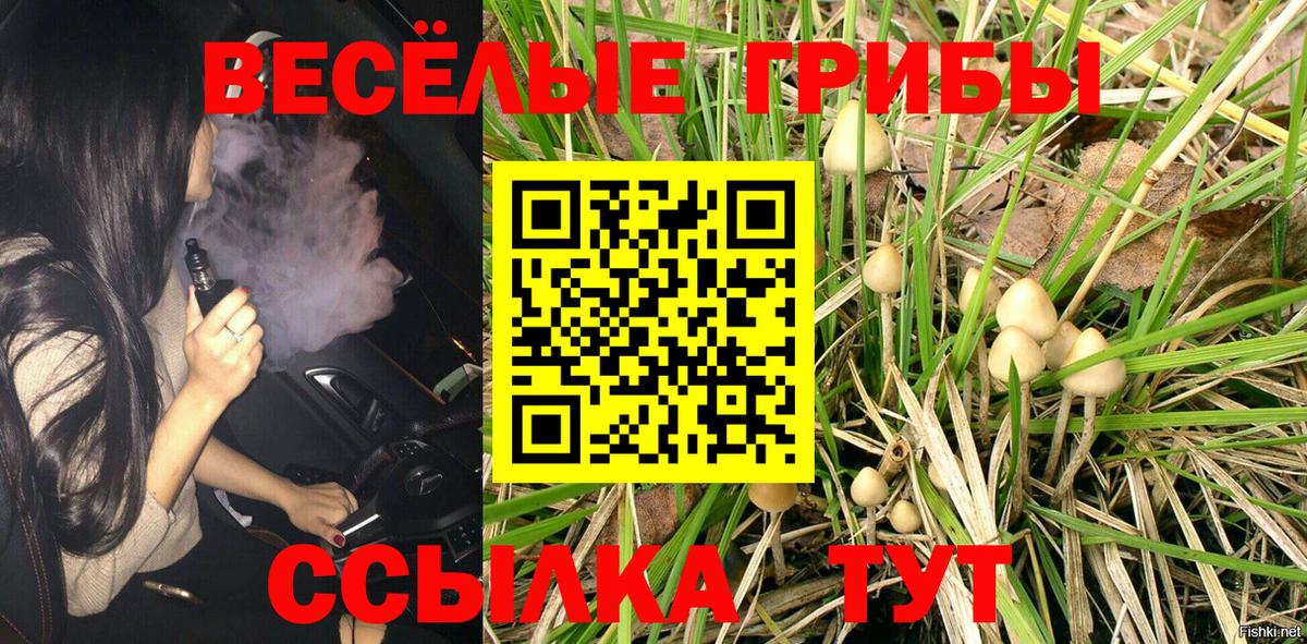 Сосновоборск  Псилоцибиновые грибы Magic Shrooms  наркотики  Вход с VPN 